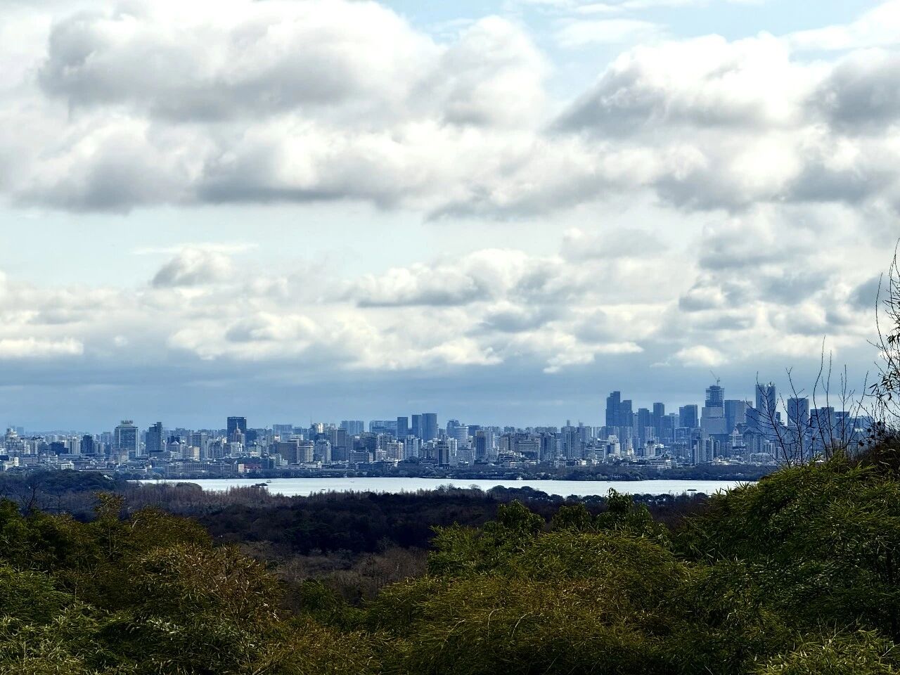 1772512898403136.jpg 微信图片_20260303113123.jpg